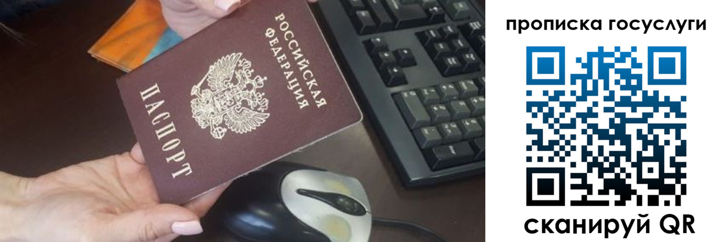 прописка от собственника в Ленинградской области